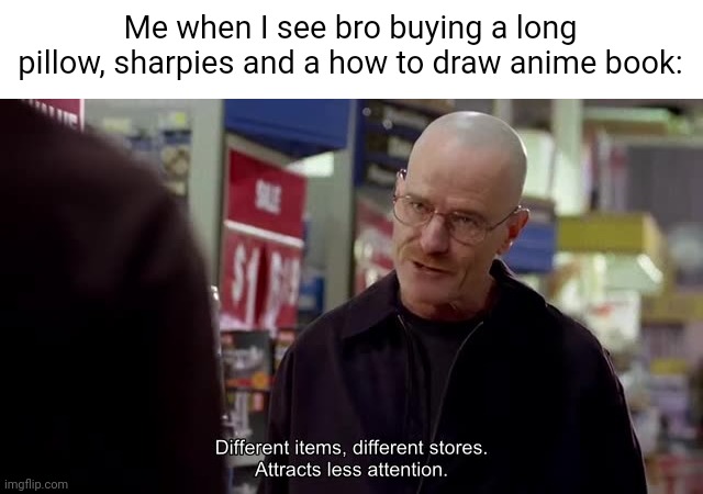 Me when I see bro buying a long pillow, sharpies and a how to draw anime book: | made w/ Imgflip meme maker