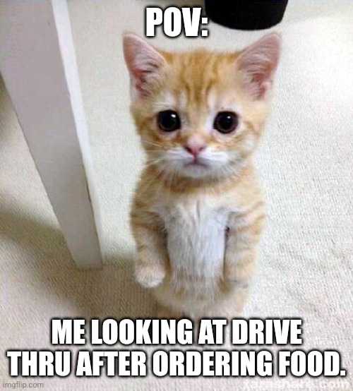 Cute Cat | POV:; ME LOOKING AT DRIVE THRU AFTER ORDERING FOOD. | image tagged in memes,cute cat,fast food,food memes,hungry,in real life | made w/ Imgflip meme maker