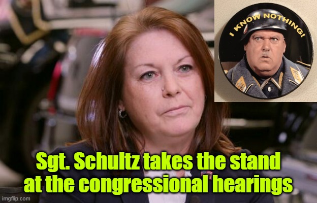 DEI director Schultz | Sgt. Schultz takes the stand at the congressional hearings | image tagged in secret service,trump,maga,election | made w/ Imgflip meme maker
