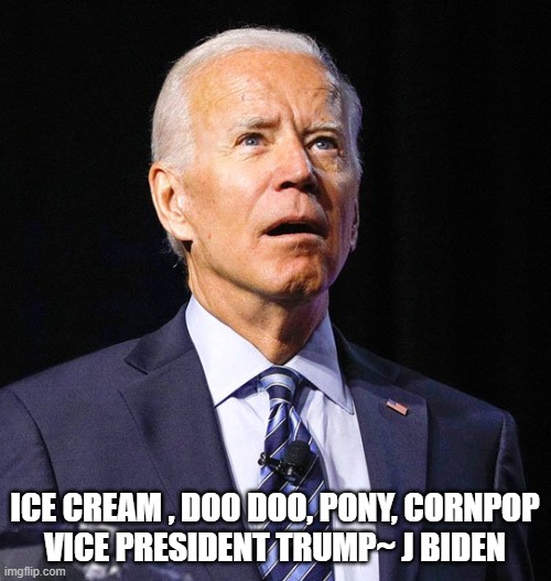 Joe Biden | ICE CREAM , DOO DOO, PONY, CORNPOP
VICE PRESIDENT TRUMP~ J BIDEN | image tagged in joe biden | made w/ Imgflip meme maker