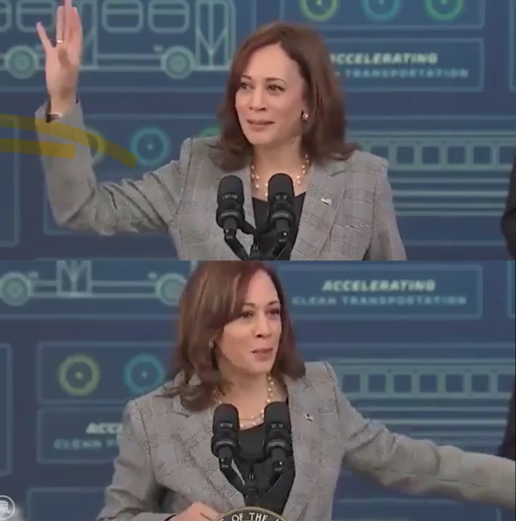 Kamala What Can Be Blank Meme Template