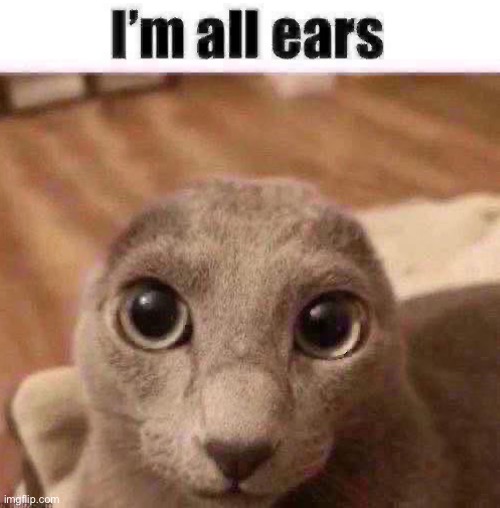 I’m all ears | image tagged in ear | made w/ Imgflip meme maker