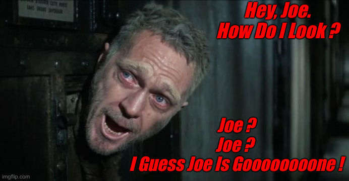 Adios, See You Never ! | Hey, Joe.
How Do I Look ? Joe ?
Joe ? 
I Guess Joe Is Goooooooone ! | image tagged in papillon,political meme,politics,funny memes,funny,fjb | made w/ Imgflip meme maker
