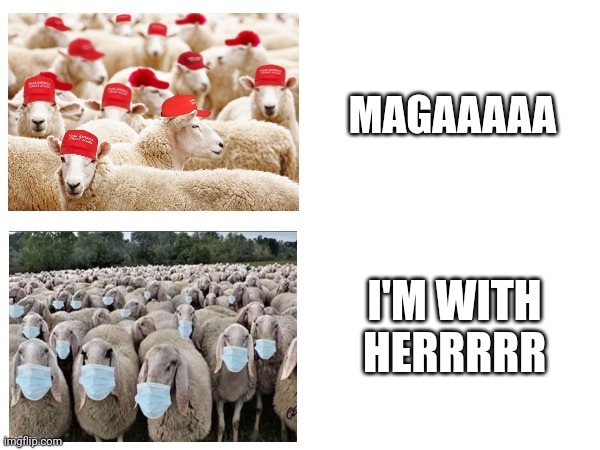 Sheeple | MAGAAAAA; I'M WITH HERRRRR | image tagged in sheeple | made w/ Imgflip meme maker