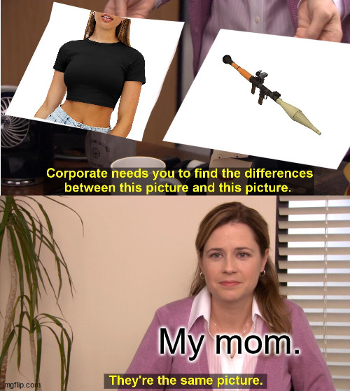 Why is She so Bothered By a Piece of Fabric?? | My mom. | image tagged in memes,they're the same picture,shirt,weapon,mom,fashion | made w/ Imgflip meme maker