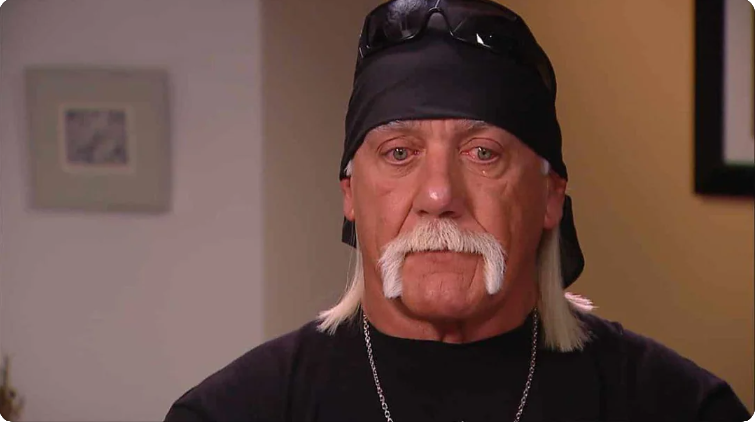 Hulk Hogan questioning life Blank Meme Template