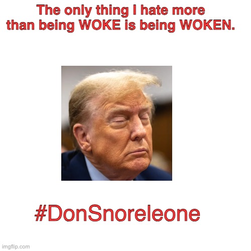 #DonSnoreleone | The only thing I hate more than being WOKE is being WOKEN. #DonSnoreleone | image tagged in donald trump,sleep,woke | made w/ Imgflip meme maker