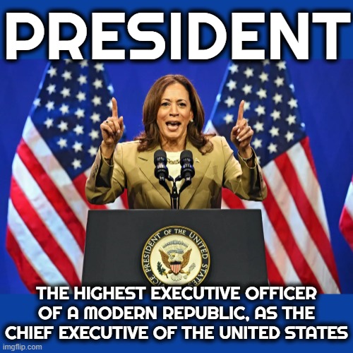 PRESIDENT | PRESIDENT; THE HIGHEST EXECUTIVE OFFICER OF A MODERN REPUBLIC, AS THE CHIEF EXECUTIVE OF THE UNITED STATES | image tagged in president,chief executive officer,leader,boss,united states of america,head of state | made w/ Imgflip meme maker