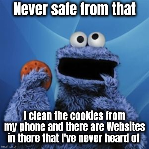 cookie monster | Never safe from that I clean the cookies from my phone and there are Websites in there that I've never heard of | image tagged in cookie monster | made w/ Imgflip meme maker