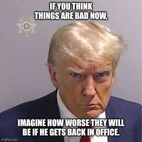 Dump trump | IF YOU THINK THINGS ARE BAD NOW, IMAGINE HOW WORSE THEY WILL BE IF HE GETS BACK IN OFFICE. | image tagged in trump | made w/ Imgflip meme maker