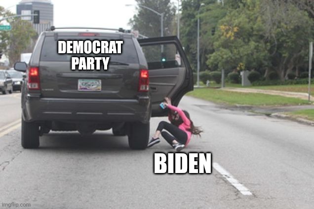 Kicked Out of Car | DEMOCRAT
PARTY; BIDEN | image tagged in kicked out of car | made w/ Imgflip meme maker