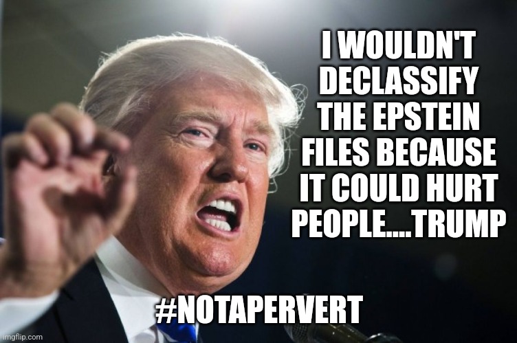PerviTrump | I WOULDN'T DECLASSIFY THE EPSTEIN FILES BECAUSE IT COULD HURT PEOPLE....TRUMP; #NOTAPERVERT | image tagged in donald trump,conservative,republican,maga,trump,nevertrump | made w/ Imgflip meme maker