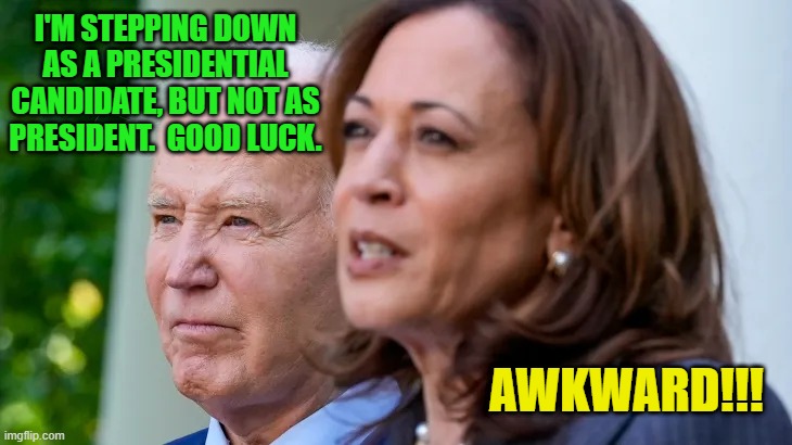 Joe Steps Down, but Stays in Place | I'M STEPPING DOWN AS A PRESIDENTIAL CANDIDATE, BUT NOT AS PRESIDENT.  GOOD LUCK. AWKWARD!!! | image tagged in joe biden,kamala harris | made w/ Imgflip meme maker