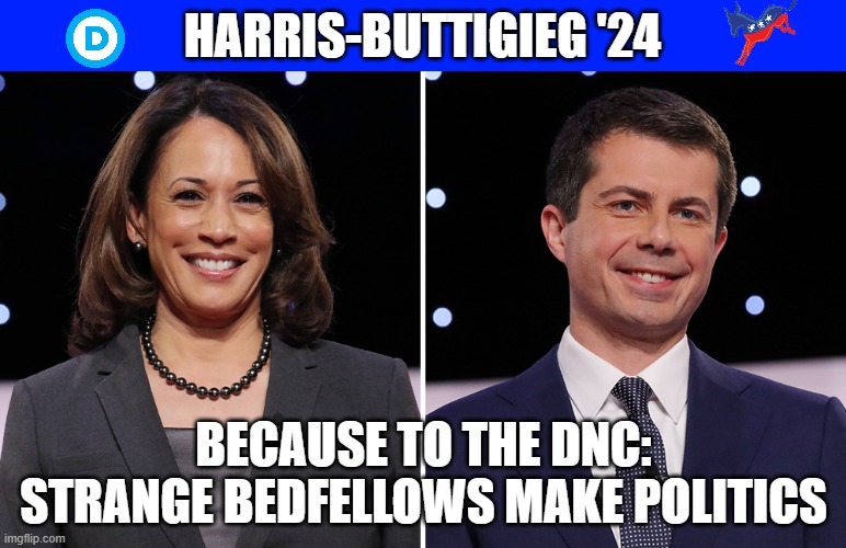 They are all about "firsts" and this would give them two (like they're gonna win) | HARRIS-BUTTIGIEG '24; BECAUSE TO THE DNC:
STRANGE BEDFELLOWS MAKE POLITICS | image tagged in kamala harris,mayor pete,democrats,politics | made w/ Imgflip meme maker