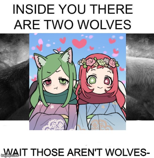 Inside you there are two wolves - Imgflip