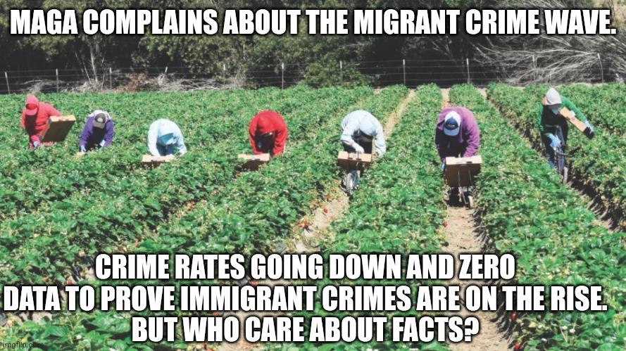 Maga racist | MAGA COMPLAINS ABOUT THE MIGRANT CRIME WAVE. CRIME RATES GOING DOWN AND ZERO DATA TO PROVE IMMIGRANT CRIMES ARE ON THE RISE.
BUT WHO CARE ABOUT FACTS? | image tagged in conservative,republican,illegal immigration,maga,donald trump,trump | made w/ Imgflip meme maker