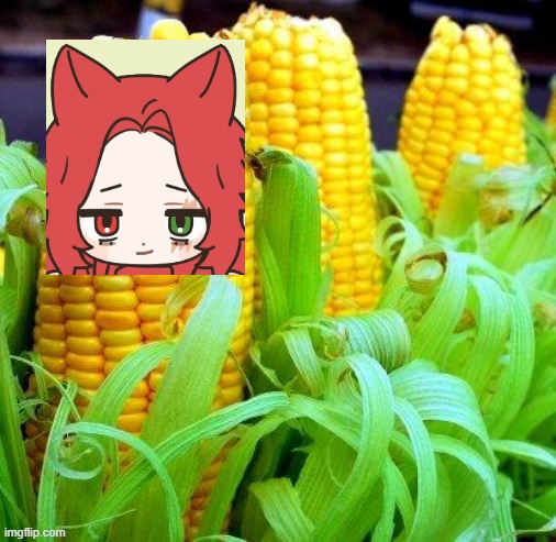 CORN meme | image tagged in corn meme | made w/ Imgflip meme maker