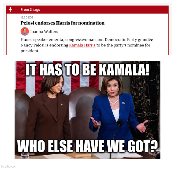 Pelosi Endorses Kamala Harris: "Who Else Have We Got?" | image tagged in nancy pelosi,kamala harris,gavin newsom,gretchen whitmer,hillary clinton,michelle obama | made w/ Imgflip meme maker