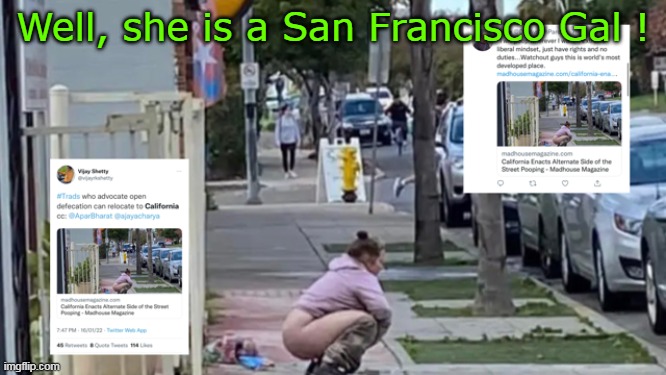 Well, she is a San Francisco Gal ! | made w/ Imgflip meme maker