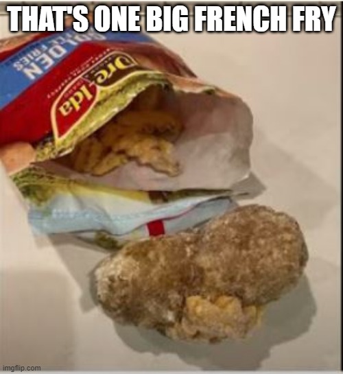 Fries With That? | THAT'S ONE BIG FRENCH FRY | image tagged in you had one job | made w/ Imgflip meme maker
