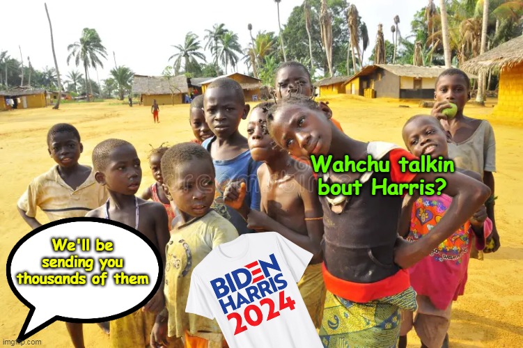 At least they'll be put to good use | Wahchu talkin bout Harris? We'll be sending you thousands of them | image tagged in biden t shirts africa meme | made w/ Imgflip meme maker