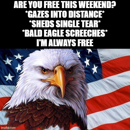 America | ARE YOU FREE THIS WEEKEND?
*GAZES INTO DISTANCE*
*SHEDS SINGLE TEAR*
*BALD EAGLE SCREECHES*
I'M ALWAYS FREE | image tagged in america,memes,funny,freedom | made w/ Imgflip meme maker