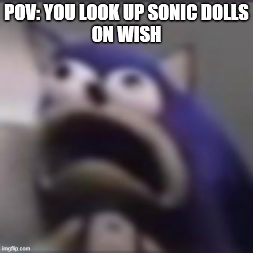 sonic lol | POV: YOU LOOK UP SONIC DOLLS
ON WISH | image tagged in distress | made w/ Imgflip meme maker