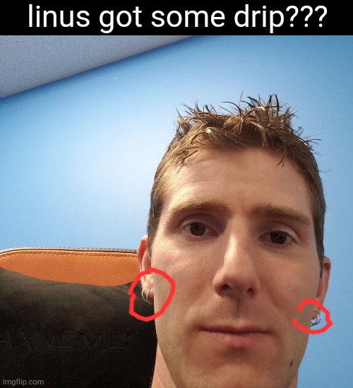 look at his ears | linus got some drip??? | image tagged in linus face meme,drip | made w/ Imgflip meme maker