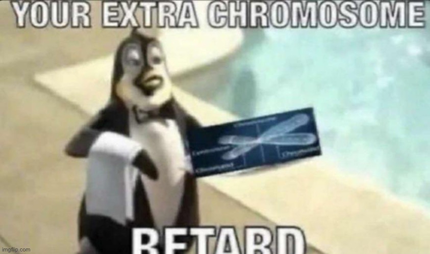 Your extra chromosome retard | image tagged in your extra chromosome retard | made w/ Imgflip meme maker