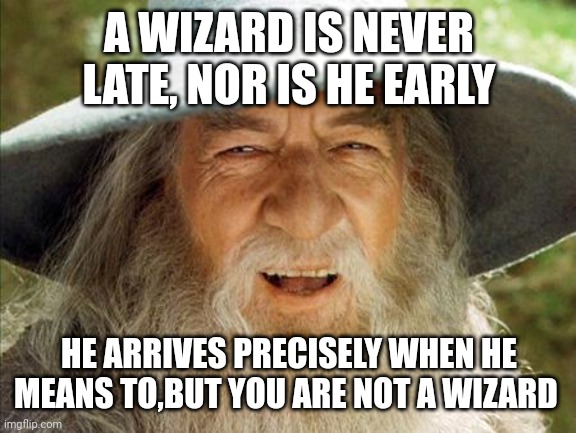 A Wizard Is Never Late | A WIZARD IS NEVER LATE, NOR IS HE EARLY; HE ARRIVES PRECISELY WHEN HE MEANS TO,BUT YOU ARE NOT A WIZARD | image tagged in a wizard is never late | made w/ Imgflip meme maker