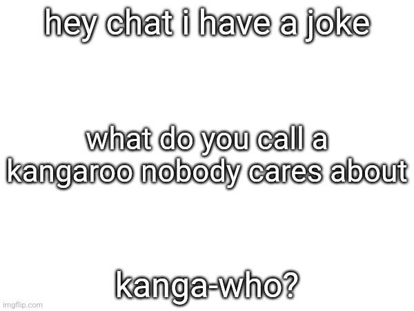 hey chat i have a joke; what do you call a kangaroo nobody cares about; kanga-who? | made w/ Imgflip meme maker