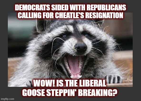A Crack Is Appearing! | DEMOCRATS SIDED WITH REPUBLICANS CALLING FOR CHEATLE'S RESIGNATION; WOW! IS THE LIBERAL GOOSE STEPPIN' BREAKING? | image tagged in maga,dnc,politics,american politics,the great awakening,dark to light | made w/ Imgflip meme maker