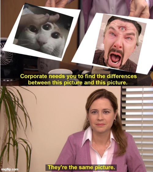 Strange Cat | image tagged in memes,they're the same picture | made w/ Imgflip meme maker