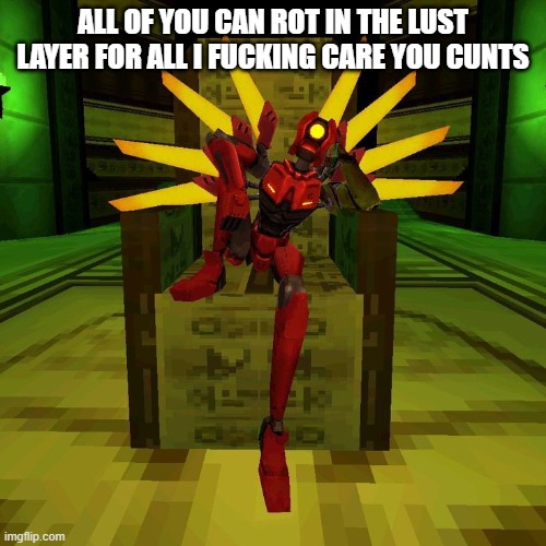 V2 pose | ALL OF YOU CAN ROT IN THE LUST LAYER FOR ALL I FUCKING CARE YOU CUNTS | image tagged in v2 pose | made w/ Imgflip meme maker