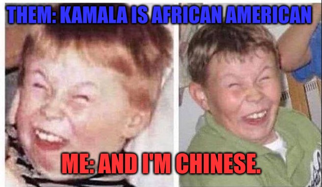 I'm Chinese if Kamala is African American | THEM: KAMALA IS AFRICAN AMERICAN; ME: AND I'M CHINESE. | image tagged in laugh boys | made w/ Imgflip meme maker