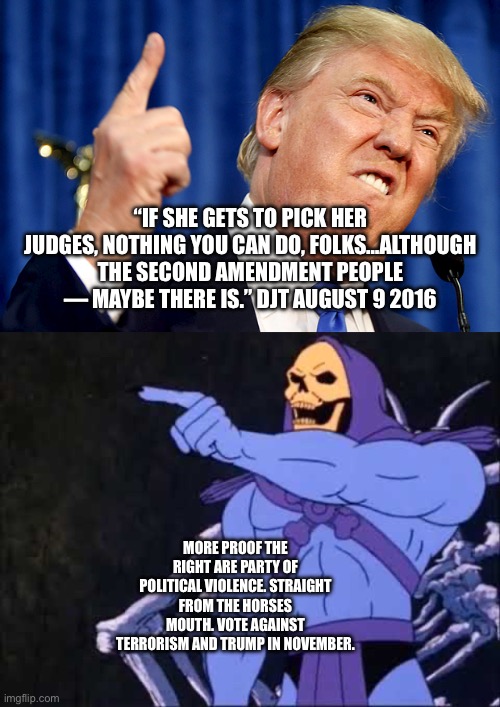 9 years he’s been advocating for violence. NINE. | “IF SHE GETS TO PICK HER JUDGES, NOTHING YOU CAN DO, FOLKS…ALTHOUGH THE SECOND AMENDMENT PEOPLE — MAYBE THERE IS.” DJT AUGUST 9 2016; MORE PROOF THE RIGHT ARE PARTY OF POLITICAL VIOLENCE. STRAIGHT FROM THE HORSES MOUTH. VOTE AGAINST TERRORISM AND TRUMP IN NOVEMBER. | image tagged in donald trump,skeletor,terrorism,violence | made w/ Imgflip meme maker