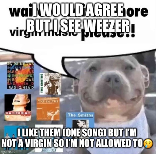 I WOULD AGREE BUT I SEE WEEZER; I LIKE THEM (ONE SONG) BUT I’M NOT A VIRGIN SO I’M NOT ALLOWED TO😢 | made w/ Imgflip meme maker