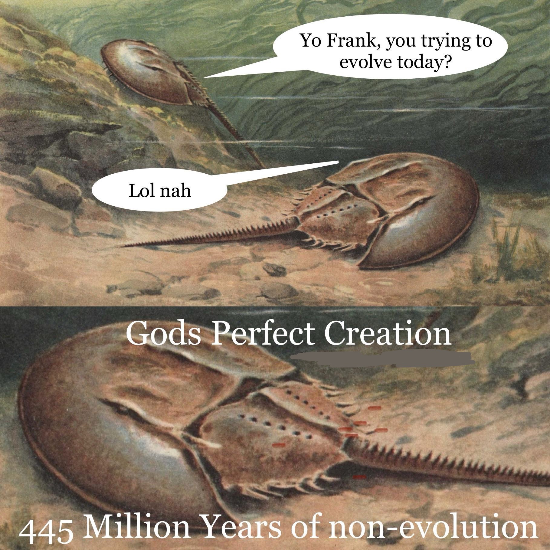 God’s perfect creation Blank Meme Template