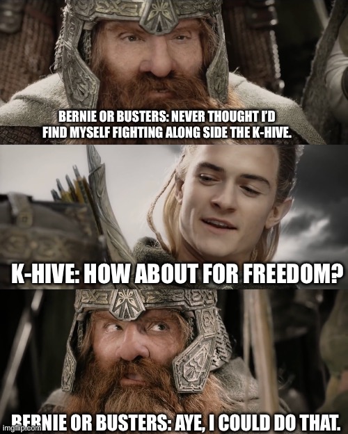 If you’d ask me if I’d ever support k-hive 4 years ago…well… | BERNIE OR BUSTERS: NEVER THOUGHT I’D FIND MYSELF FIGHTING ALONG SIDE THE K-HIVE. K-HIVE: HOW ABOUT FOR FREEDOM? BERNIE OR BUSTERS: AYE, I COULD DO THAT. | image tagged in aye i could do that blank,bernie of bust,k-hive,democracy,2024 | made w/ Imgflip meme maker