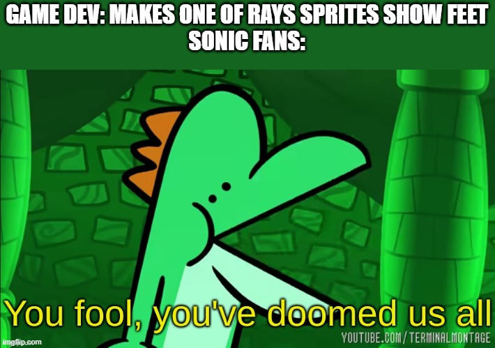 Bro doomed us | GAME DEV: MAKES ONE OF RAYS SPRITES SHOW FEET
SONIC FANS: | image tagged in you fool you've doomed us all | made w/ Imgflip meme maker