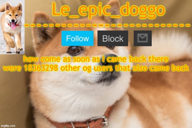 epic doggo's temp back in old fashion | how come as soon as I came back there were 18363298 other og users that also came back | image tagged in epic doggo's temp back in old fashion | made w/ Imgflip meme maker