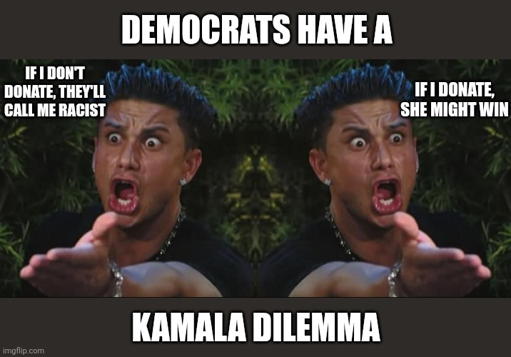 Kamala Dilemma | DEMOCRATS HAVE A; IF I DON'T DONATE, THEY'LL CALL ME RACIST; IF I DONATE, SHE MIGHT WIN; KAMALA DILEMMA | image tagged in memes,dj pauly d | made w/ Imgflip meme maker