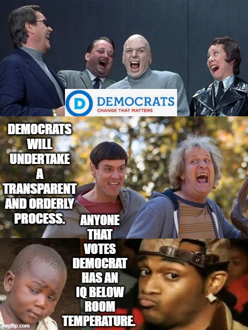 14 million voters will have a candidate chosen by the elites! | DEMOCRATS WILL UNDERTAKE A TRANSPARENT AND ORDERLY PROCESS. ANYONE THAT VOTES DEMOCRAT HAS AN IQ BELOW ROOM TEMPERATURE. | image tagged in stupidity,morons,dumb and dumber | made w/ Imgflip meme maker