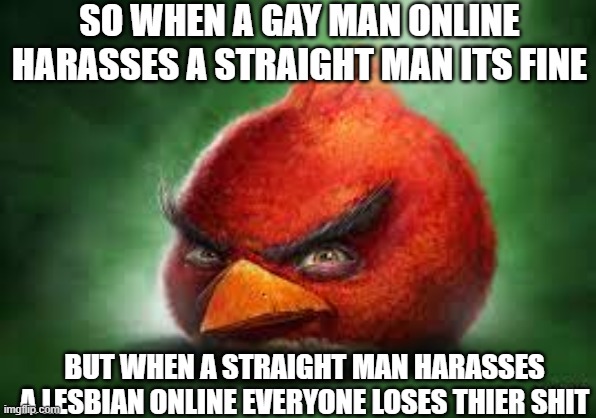 Realistic Red Angry Birds | SO WHEN A GAY MAN ONLINE HARASSES A STRAIGHT MAN ITS FINE; BUT WHEN A STRAIGHT MAN HARASSES A LESBIAN ONLINE EVERYONE LOSES THIER SHIT | image tagged in realistic red angry birds | made w/ Imgflip meme maker