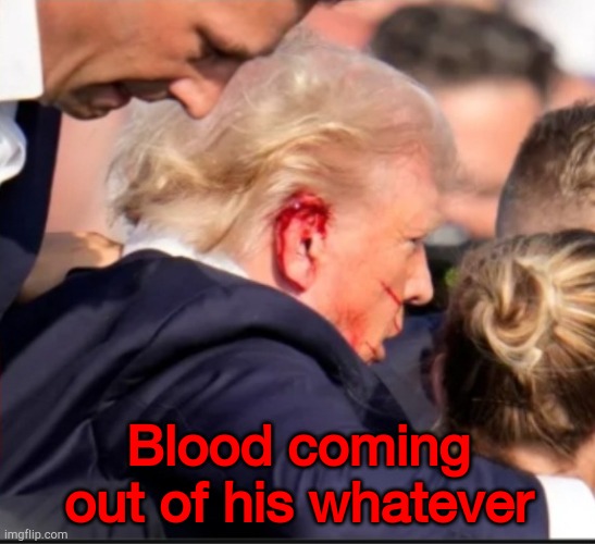 Megan Kelly reporting | Blood coming out of his whatever | image tagged in bloody ear trump | made w/ Imgflip meme maker