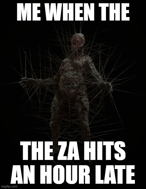 ME WHEN THE; THE ZA HITS AN HOUR LATE | made w/ Imgflip meme maker