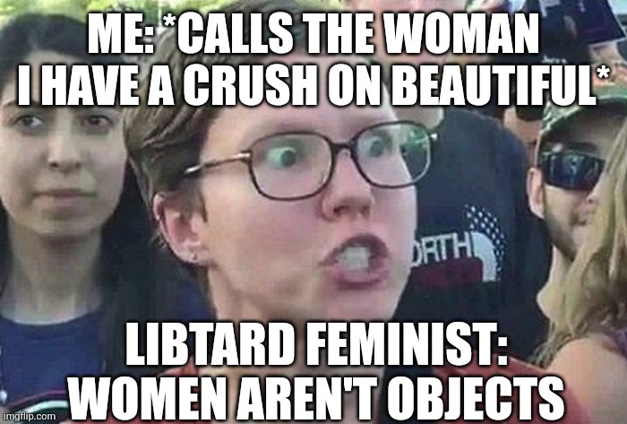 Seriously all I said was she was beautiful and nothing else not even in my head and the feminist told me I was objectifying my c | ME: *CALLS THE WOMAN I HAVE A CRUSH ON BEAUTIFUL*; LIBTARD FEMINIST: WOMEN AREN'T OBJECTS | image tagged in triggered liberal,feminist,femcel tears | made w/ Imgflip meme maker