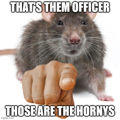 The Hornys | THAT'S THEM OFFICER; THOSE ARE THE HORNYS | image tagged in ratpointing alternate | made w/ Imgflip meme maker