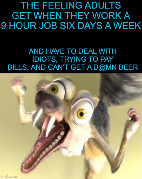 Adulthood in a nutshell | THE FEELING ADULTS GET WHEN THEY WORK A 9 HOUR JOB SIX DAYS A WEEK; AND HAVE TO DEAL WITH IDIOTS, TRYING TO PAY BILLS, AND CAN’T GET A D@MN BEER | image tagged in overreacting squirrel,scrat,ice age | made w/ Imgflip meme maker