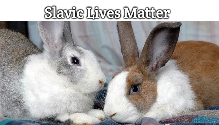 Rabbits | Slavic Lives Matter | image tagged in rabbits,slavic | made w/ Imgflip meme maker